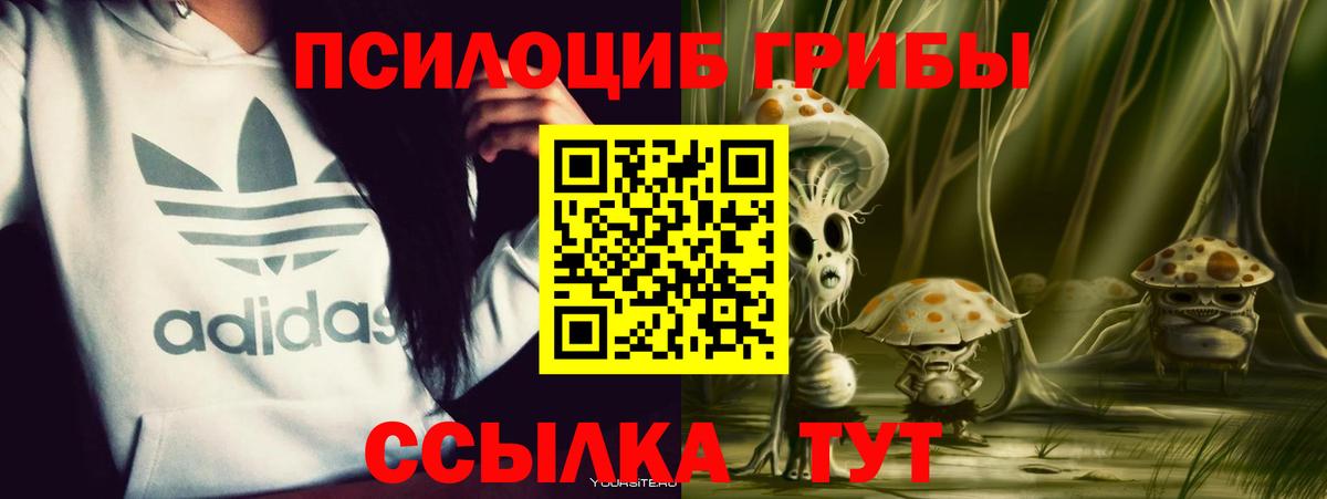 Люберцы  Галлюциногенные грибы Magic Shrooms  Галлюциногенные грибы GOLDEN TEACHER  Вход с VPN 