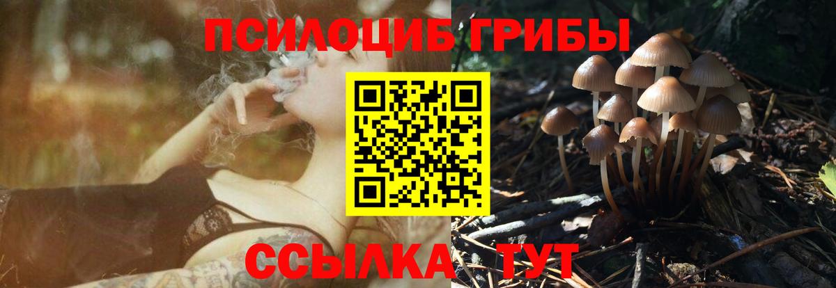 Меф Люберцы